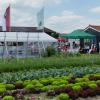 Verschiedene Salate und Gemüse sind im weitläufigen Lehrgarten in Gochsheim zu bewundern. Im Hintergrund steht der neue Info-Pavillon, der mit Mitteln des Bayerischen Staatsministeriums für Ernährung, Landwirtschaft und Forsten und des europäischen Landwirtschaftsfonds für die Entwicklung des ländlichen Raumes gefördert wurde.