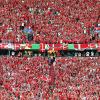 München Fußball Arena, Fans von Dänemark feuern vor Spielbeginn ihre Mannschaft an.