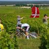 Der belgische Etappensieger Remco Evenepoel fährt durch die Weinberge.