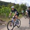 Auch durch die Weinberge am Schwanberg führte die Sonntags-Tour die Radlenden. Auch durch die Weinberge am Schwanberg führte die Sonntags-Tour die Radlenden.
