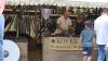 Markthändler und händlerinnen boten auf dem Mittelaltermarkt ihre Waren an.