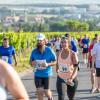 Mehrere Hundert Menschen nehmen am Freitag (19.07.24) bei hochsommerlichen Temperaturen um 30 Grad am 40. Schwanberglauf teil. Auf der Strecke von Iphofen nach Castell legen die Läuferinnen und Läufer 10,4 Kilometer und 200 Höhenmeter zurück.