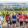 Mehrere Hundert Menschen nehmen am Freitag (19.07.24) bei hochsommerlichen Temperaturen um 30 Grad am 40. Schwanberglauf teil. Auf der Strecke von Iphofen nach Castell legen die Läuferinnen und Läufer 10,4 Kilometer und 200 Höhenmeter zurück.