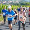 Mehrere Hundert Menschen nehmen am Freitag (19.07.24) bei hochsommerlichen Temperaturen um 30 Grad am 40. Schwanberglauf teil. Auf der Strecke von Iphofen nach Castell legen die Läuferinnen und Läufer 10,4 Kilometer und 200 Höhenmeter zurück.