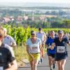 Mehrere Hundert Menschen nehmen am Freitag (19.07.24) bei hochsommerlichen Temperaturen um 30 Grad am 40. Schwanberglauf teil. Auf der Strecke von Iphofen nach Castell legen die Läuferinnen und Läufer 10,4 Kilometer und 200 Höhenmeter zurück.