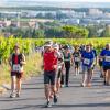 Mehrere Hundert Menschen nehmen am Freitag (19.07.24) bei hochsommerlichen Temperaturen um 30 Grad am 40. Schwanberglauf teil. Auf der Strecke von Iphofen nach Castell legen die Läuferinnen und Läufer 10,4 Kilometer und 200 Höhenmeter zurück.