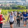 Mehrere Hundert Menschen nehmen am Freitag (19.07.24) bei hochsommerlichen Temperaturen um 30 Grad am 40. Schwanberglauf teil. Auf der Strecke von Iphofen nach Castell legen die Läuferinnen und Läufer 10,4 Kilometer und 200 Höhenmeter zurück.