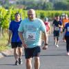 Mehrere Hundert Menschen nehmen am Freitag (19.07.24) bei hochsommerlichen Temperaturen um 30 Grad am 40. Schwanberglauf teil. Auf der Strecke von Iphofen nach Castell legen die Läuferinnen und Läufer 10,4 Kilometer und 200 Höhenmeter zurück.