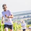 Mehrere Hundert Menschen nehmen am Freitag (19.07.24) bei hochsommerlichen Temperaturen um 30 Grad am 40. Schwanberglauf teil. Auf der Strecke von Iphofen nach Castell legen die Läuferinnen und Läufer 10,4 Kilometer und 200 Höhenmeter zurück.