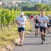 Mehrere Hundert Menschen nehmen am Freitag (19.07.24) bei hochsommerlichen Temperaturen um 30 Grad am 40. Schwanberglauf teil. Auf der Strecke von Iphofen nach Castell legen die Läuferinnen und Läufer 10,4 Kilometer und 200 Höhenmeter zurück.
