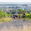 Mehrere Hundert Menschen nehmen am Freitag (19.07.24) bei hochsommerlichen Temperaturen um 30 Grad am 40. Schwanberglauf teil. Auf der Strecke von Iphofen nach Castell legen die Läuferinnen und Läufer 10,4 Kilometer und 200 Höhenmeter zurück.