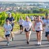 Mehrere Hundert Menschen nehmen am Freitag (19.07.24) bei hochsommerlichen Temperaturen um 30 Grad am 40. Schwanberglauf teil. Auf der Strecke von Iphofen nach Castell legen die Läuferinnen und Läufer 10,4 Kilometer und 200 Höhenmeter zurück.