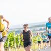 Mehrere Hundert Menschen nehmen am Freitag (19.07.24) bei hochsommerlichen Temperaturen um 30 Grad am 40. Schwanberglauf teil. Auf der Strecke von Iphofen nach Castell legen die Läuferinnen und Läufer 10,4 Kilometer und 200 Höhenmeter zurück.