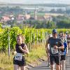 Mehrere Hundert Menschen nehmen am Freitag (19.07.24) bei hochsommerlichen Temperaturen um 30 Grad am 40. Schwanberglauf teil. Auf der Strecke von Iphofen nach Castell legen die Läuferinnen und Läufer 10,4 Kilometer und 200 Höhenmeter zurück.