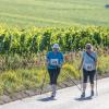 Mehrere Hundert Menschen nehmen am Freitag (19.07.24) bei hochsommerlichen Temperaturen um 30 Grad am 40. Schwanberglauf teil. Auf der Strecke von Iphofen nach Castell legen die Läuferinnen und Läufer 10,4 Kilometer und 200 Höhenmeter zurück.