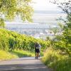 Mehrere Hundert Menschen nehmen am Freitag (19.07.24) bei hochsommerlichen Temperaturen um 30 Grad am 40. Schwanberglauf teil. Auf der Strecke von Iphofen nach Castell legen die Läuferinnen und Läufer 10,4 Kilometer und 200 Höhenmeter zurück.