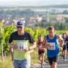 Mehrere Hundert Menschen nehmen am Freitag (19.07.24) bei hochsommerlichen Temperaturen um 30 Grad am 40. Schwanberglauf teil. Auf der Strecke von Iphofen nach Castell legen die Läuferinnen und Läufer 10,4 Kilometer und 200 Höhenmeter zurück.
