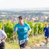 Mehrere Hundert Menschen nehmen am Freitag (19.07.24) bei hochsommerlichen Temperaturen um 30 Grad am 40. Schwanberglauf teil. Auf der Strecke von Iphofen nach Castell legen die Läuferinnen und Läufer 10,4 Kilometer und 200 Höhenmeter zurück.