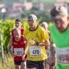 Mehrere Hundert Menschen nehmen am Freitag (19.07.24) bei hochsommerlichen Temperaturen um 30 Grad am 40. Schwanberglauf teil. Auf der Strecke von Iphofen nach Castell legen die Läuferinnen und Läufer 10,4 Kilometer und 200 Höhenmeter zurück.