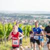 Mehrere Hundert Menschen nehmen am Freitag (19.07.24) bei hochsommerlichen Temperaturen um 30 Grad am 40. Schwanberglauf teil. Auf der Strecke von Iphofen nach Castell legen die Läuferinnen und Läufer 10,4 Kilometer und 200 Höhenmeter zurück.