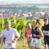 Mehrere Hundert Menschen nehmen am Freitag (19.07.24) bei hochsommerlichen Temperaturen um 30 Grad am 40. Schwanberglauf teil. Auf der Strecke von Iphofen nach Castell legen die Läuferinnen und Läufer 10,4 Kilometer und 200 Höhenmeter zurück.