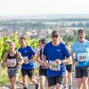 Mehrere Hundert Menschen nehmen am Freitag (19.07.24) bei hochsommerlichen Temperaturen um 30 Grad am 40. Schwanberglauf teil. Auf der Strecke von Iphofen nach Castell legen die Läuferinnen und Läufer 10,4 Kilometer und 200 Höhenmeter zurück.