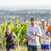 Mehrere Hundert Menschen nehmen am Freitag (19.07.24) bei hochsommerlichen Temperaturen um 30 Grad am 40. Schwanberglauf teil. Auf der Strecke von Iphofen nach Castell legen die Läuferinnen und Läufer 10,4 Kilometer und 200 Höhenmeter zurück.