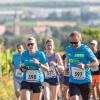 Mehrere Hundert Menschen nehmen am Freitag (19.07.24) bei hochsommerlichen Temperaturen um 30 Grad am 40. Schwanberglauf teil. Auf der Strecke von Iphofen nach Castell legen die Läuferinnen und Läufer 10,4 Kilometer und 200 Höhenmeter zurück.