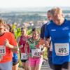 Mehrere Hundert Menschen nehmen am Freitag (19.07.24) bei hochsommerlichen Temperaturen um 30 Grad am 40. Schwanberglauf teil. Auf der Strecke von Iphofen nach Castell legen die Läuferinnen und Läufer 10,4 Kilometer und 200 Höhenmeter zurück.