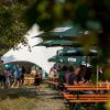 Zahlreiche Menschen besuchen am Samstag (20.07.24) das Umsonst-und-Draußen-Festival in Karlstadt. Auf dem idyllischen Platz am Saupurzel über der Stadt spielen mehrere Bands unterschiedlicher Genres auf zwei Bühnen.