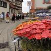 Das Unterfränkische Volksmusikfest fand dieses Jahr in Stadtlauringen statt und zog tausende Menschen in die Innenstadt.