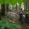 E-Biker im Spessart