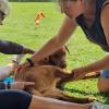 Andrea Hilpert (HSV Mitglied), Sonja Jüttner (Sportphysiotherapeutin) mit Hund Zimt.