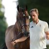 Richard Vogels Pferd United Touch besteht die tiermedizinische Untersuchng