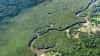 Der Amazonas-Regenwald wird als „grüne Lunge der Erde” bezeichnet, weil er große Mengen Kohlendioxid absorbiert und Sauerstoff produziert. (Archivbild)