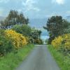 Bildergalerie Schottland