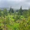 Bildergalerie Schottland