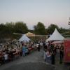 Impressionen vom Open-Air-Festival im Steinbruch bei Strahlungen.