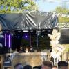 Impressionen vom Open-Air-Festival im Steinbruch bei Strahlungen.