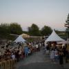 Impressionen vom Open-Air-Festival im Steinbruch bei Strahlungen.