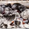 Auf heißen Kohlen: Wie befeuert man den Grill gesund und nachhaltig?