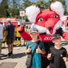 Die Würzburger Kickers verlieren am Samstag 24.08.24 das Heimspiel gegen Bayern München II mit 1:4 in der AKON Arena in Würzburg.