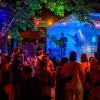Laue Nächte und gute Stimmung: Paulinko treten am Freitag (23.08.24) beim Gemeinsam Dreisam Festival in der Waldschänke Dornheim in Würzburg auf. Das Festival ist ein gemeinsames Projekt der vier Würzburger Jugendkulturhäuser b-hof, Cairo, Immerhin und Kellerperle.