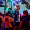 Laue Nächte und gute Stimmung: Fliegende Haie treten am Freitag (23.08.24) beim Gemeinsam Dreisam Festival in der Waldschänke Dornheim in Würzburg auf. Das Festival ist ein gemeinsames Projekt der vier Würzburger Jugendkulturhäuser b-hof, Cairo, Immerhin und Kellerperle.