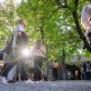 Laue Nächte und gute Stimmung: Zahlreiche Menschen verfolgen am Sonntag (25.08.24) das Gemeinsam Dreisam Festival in der Waldschänke Dornheim in Würzburg. Das Festival ist ein gemeinsames Projekt der vier Würzburger Jugendkulturhäuser b-hof, Cairo, Immerhin und Kellerperle.