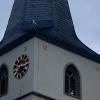 Ein ungewohnter Anblick: Störche auf dem Dach der Wolkshäuser Kirche in Gaukönigshofen.