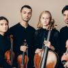 Das Novo Quartet aus Kopenhagen kommt nach Marktbreit.