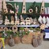 Ein großes Angebot gibt es beim Christbaummarkt in Gramschatz. Ein großes Angebot gibt es beim Christbaummarkt in Gramschatz.