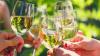 Mit ihren Weinen haben die Winzerinnen und Winter aus dem Abt-Degen-Weintal bei der fränkischen Weinprämierung ordentlich abgeräumt.