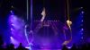 Rund 3000 Menschen besuchen am Donnerstag (12.12.24) die Premiere des Weihnachtscircus Krone auf der Talavera in Würzburg. Der Circus gastiert noch bis zum 06.01.25 in der Domstadt.